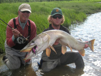 Barry Reynolds 2 Pike on Top Large