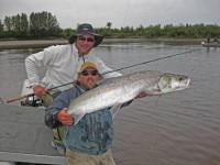 Sheefish