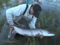 Barry Reynolds 3 Holy Grail Large