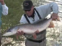 Barry Reynolds – Holy Grail