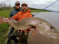 Week #7 2021 Operation “Rice… Rice… Baby”