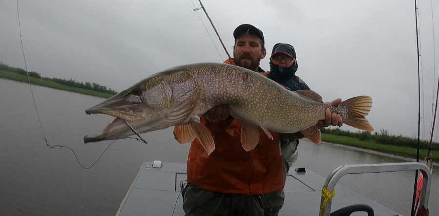 Week #5 2021 Operation “Double Down”