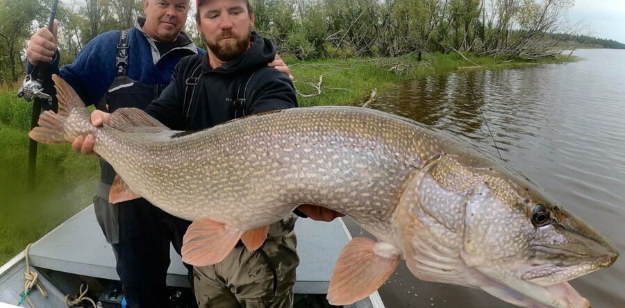 Week #10 2021 Operation “Giant Men Vs Giant Fish”