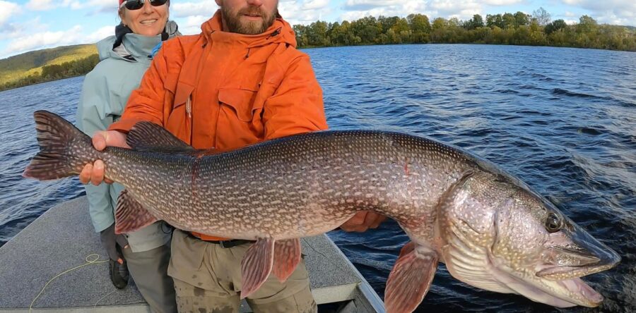 Week #11 2021 Operation “Man Bear Pig”