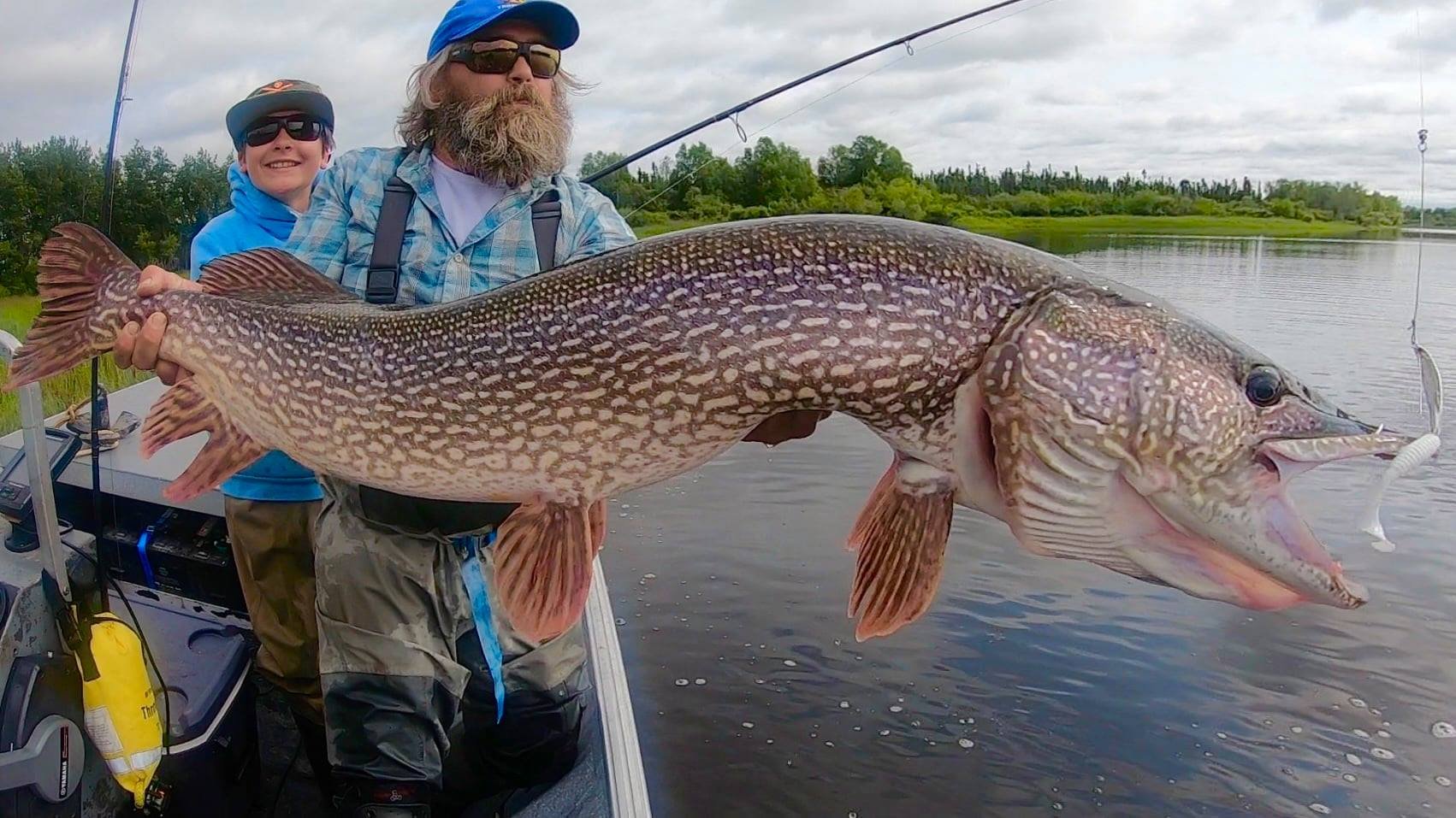 Midnight Sun Trophy Pike - Trophy Alaska Pike Fishing