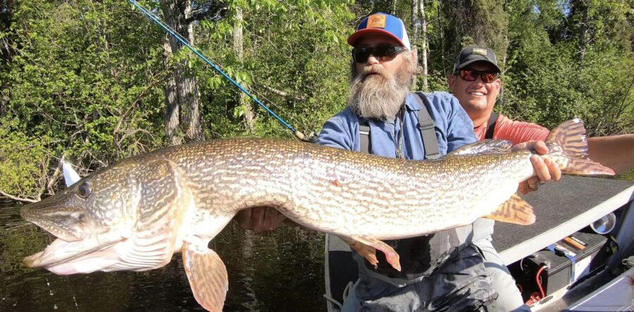 Week #2 2023 Operation “Magical Mystery Tour”