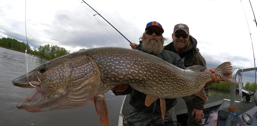 Week #4 2023 Operation “Last Cast”